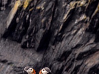 Sceilg Mhichíl / Skellig Michael